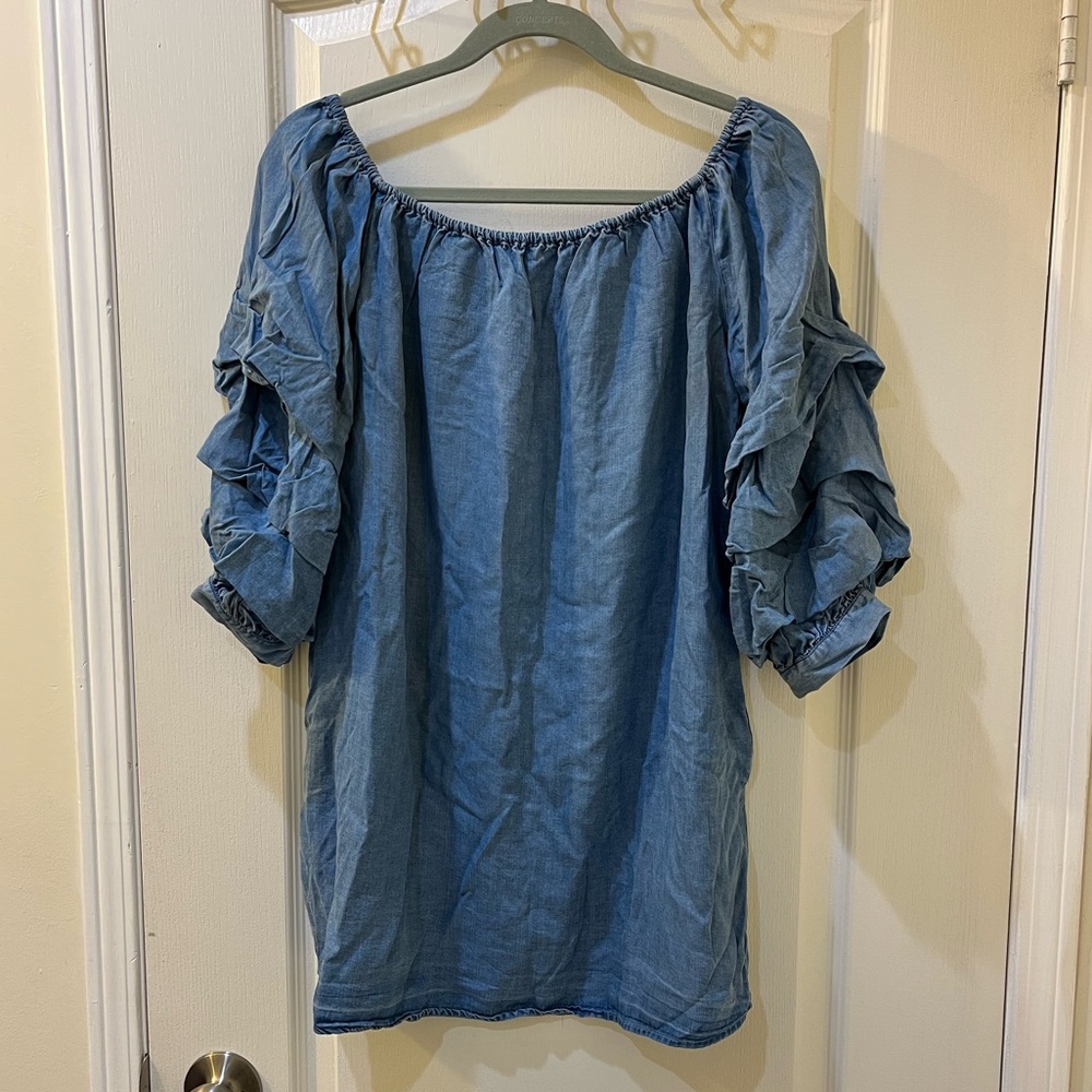 Zara Denim Blue Ruffle Sleeve Blouse